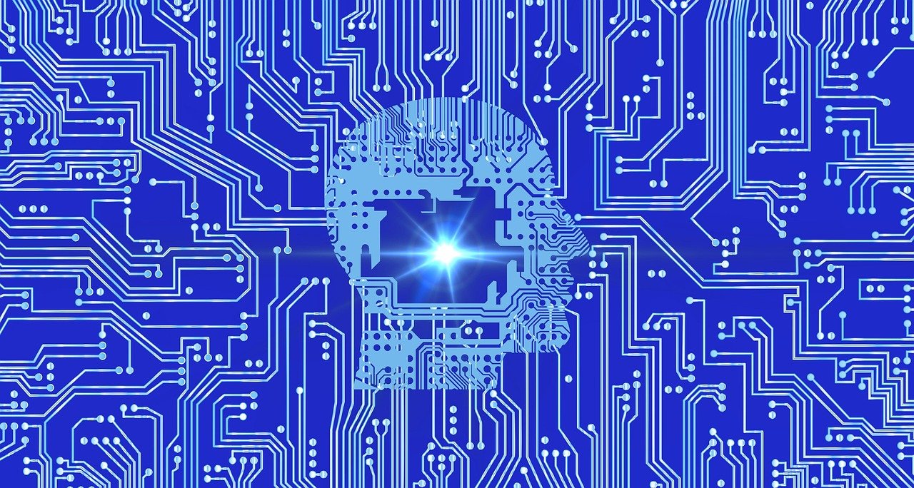 Image by Vicki Hamilton from Pixabay